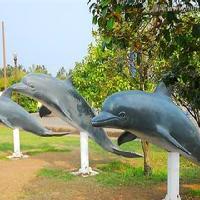 广州海洋馆17787