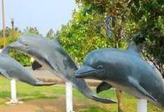 广州海洋馆：海豚雕塑