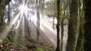 玉溪金山原始森林怎么玩？附游玩路线