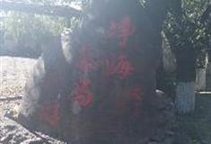 拉市海湿地公园：净海马场