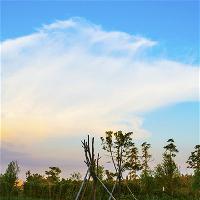 长沙洋湖湿地公园游憩大草坪 长沙洋湖湿地公园游憩大草坪