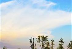 长沙洋湖湿地公园：游憩大草坪