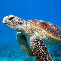 江苏张家港梦幻海洋王国19678