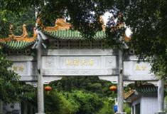 佛山南海西岸怎么玩？附游玩路线