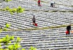 抚州东华山水景区怎么玩？附游玩路线