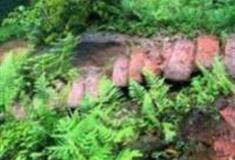 重庆爱情天梯怎么玩？附游玩路线