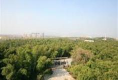 南京求雨山怎么玩？附游玩路线