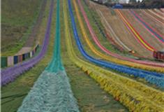 重庆黄桷门奇彩梦园怎么玩？附游玩路线