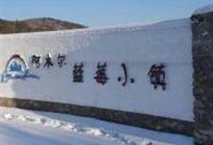 大兴安岭阿木尔中国野生蓝莓之乡怎么玩？附游玩路线