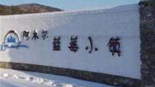 大兴安岭阿木尔中国野生蓝莓之乡怎么玩?附游玩路线 大兴安岭阿木尔中国野生蓝莓之乡怎么玩?附游玩路线