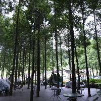 天府花溪谷17214