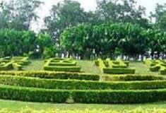 东莞绿色世界怎么玩？附游玩路线