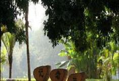 湛江湖光岩风景区：记者林