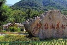 温州吹台山森林公园怎么玩？附游玩路线