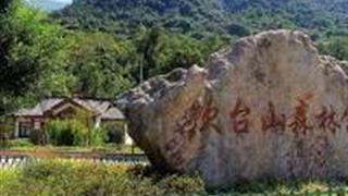 温州吹台山森林公园怎么玩?附游玩路线 温州吹台山森林公园怎么玩?附游玩路线