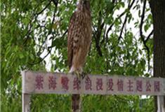 上海紫海鹭缘浪漫爱情主题庄园怎么玩？附游玩路线