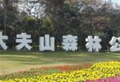 广州大夫山森林公园怎么玩？附游玩路线