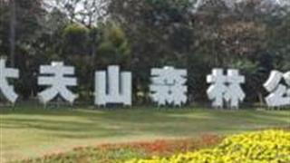 广州大夫山森林公园怎么玩？附游玩路线