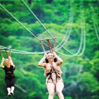 杨柳青庄园19353