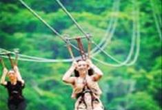 杨柳青庄园：空中滑索