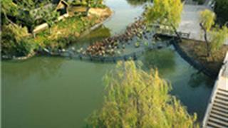 扬州茱萸湾风景区怎么玩？附游玩路线