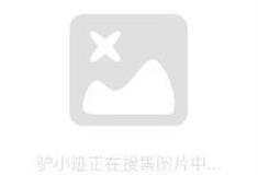 大唐芙蓉园：鎏金飞鸿纹银则