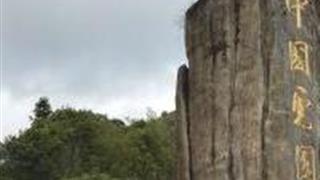 龙岩中国虎园怎么玩？附游玩路线