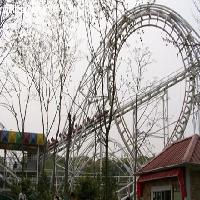 上海共青国家森林公园17727