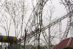 上海共青国家森林公园：过山车