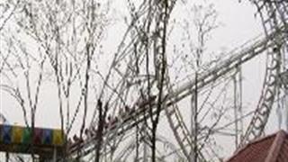 上海共青国家森林公园：过山车