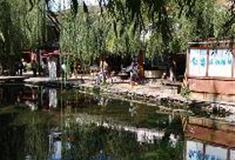 束河古镇：飞花触水景点