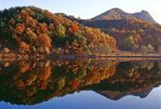 承德六里坪国家森林公园怎么玩？附游玩路线