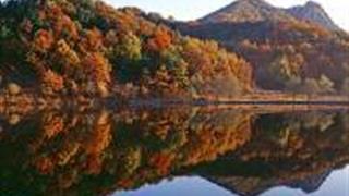 承德六里坪国家森林公园怎么玩？附游玩路线