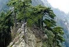 白马尖：金竹峰