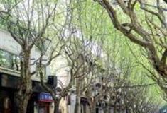 上海巨鹿路·富民路·长乐路街区怎么玩？附游玩路线