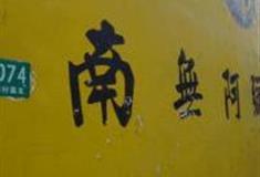 上海崇明弥陀院怎么玩？附游玩路线