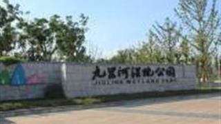 无锡九里河湿地公园怎么玩？附游玩路线