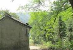 温州长坑岭古道怎么玩？附游玩路线