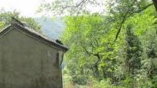 温州长坑岭古道怎么玩？附游玩路线