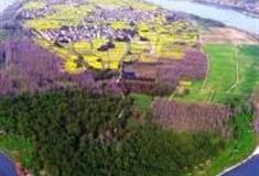 杭州桐洲岛怎么玩？附游玩路线