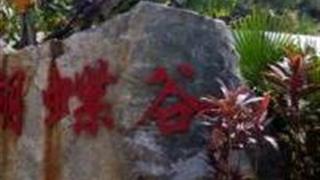 东莞水濂山蝴蝶谷怎么玩？附游玩路线