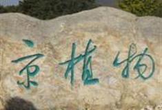 北京植物园怎么玩？附游玩路线