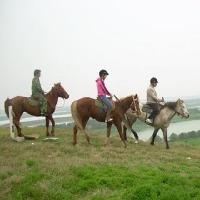 上海共青国家森林公园17720