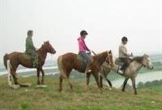 上海共青国家森林公园：林间轻骑