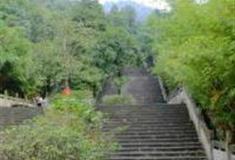 重庆白市驿森林公园怎么玩？附游玩路线