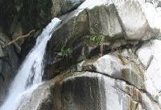 龙井峡：金龟守浴