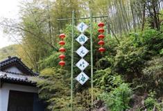 湖州中国大竹海怎么玩？附游玩路线