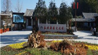 温州泰顺廊桥文化园怎么玩？附游玩路线
