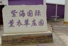 孝感湖北紫海国际薰衣草庄园怎么玩？附游玩路线