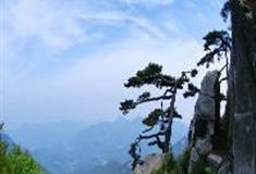 白马尖：代表松